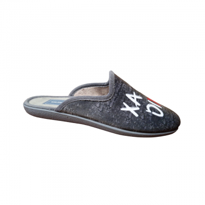 Zapatillas casa hombre divertidas Galegadas 211 "Xa cho dixen" 2 Zapatillas casa hombre divertidas Galegadas 211 "Xa cho dixen" 2