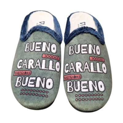 Zapatillas Casa Vivant C252066 Galegadas Carallo