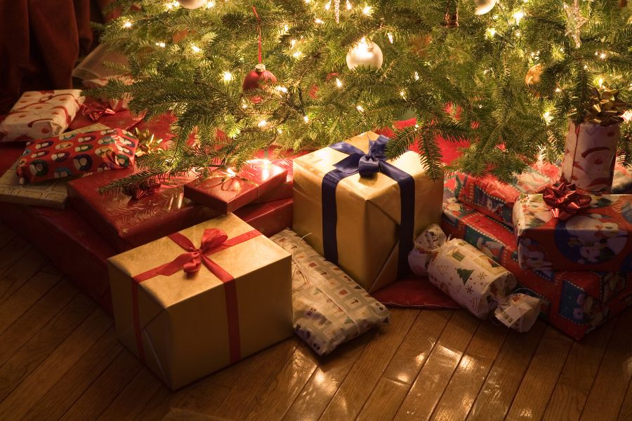 Zapatillas cómodas y calentitas para regalar en Navidad | La Casa de las Zapatillas